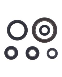 Athena Engine Oil Seal Kit P400270400093