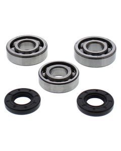 All Balls Crank Bearing & Seal Kit 24-1117