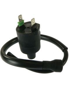 Wildboar Ignition Coil 160-01084