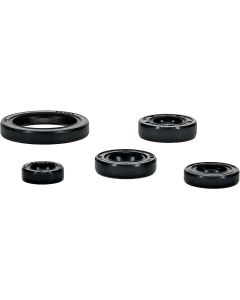 Vertex Oil Seal Kit 822994