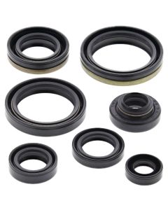 Vertex Oil Seal Kit 822267