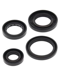 Vertex Oil Seal Kit 822250