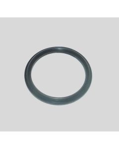WSM Injector O-Ring for Polaris 1200 Genesis / MSX 140 03-04 008-667