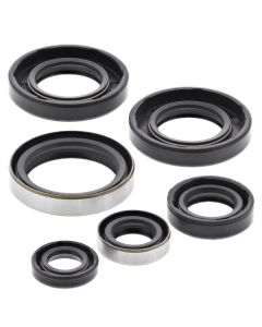 Vertex Oil Seal Kit 822185