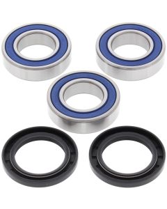 All Balls Racing Rear Wheel Bearing Kit 25-1101