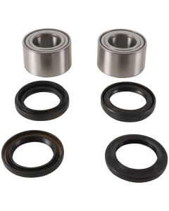 Pivot Works Front Wheel Bearing Kit PWFWK-S17-700