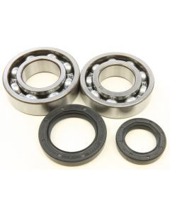 All Balls Crankshaft Bearing/Seal Kit For Suzuki Lt250R Quadracer 1985-1992 24-1037