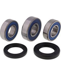 All Balls Racing Rear Wheel Bearing Kit 25-1117