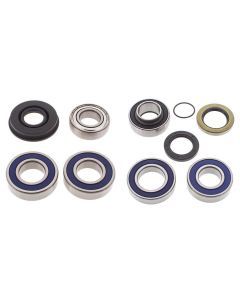 Lower Drive Shaft & Upper Jack Shaft Bearing & Seal Kit MACH Z 1000 2005-2006