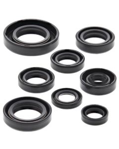 Vertex Oil Seal Kit 822181