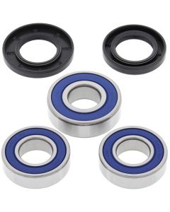 All Balls Racing Rear Wheel Bearing Kit 25-1066