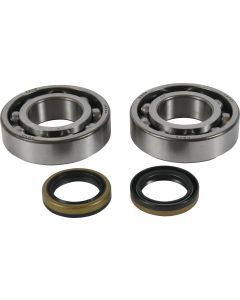 All Balls Racing Crank Shaft Bearing Kit 24-1122