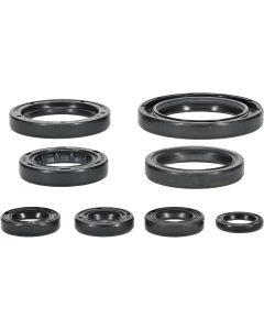 Vertex Oil Seal Kit 822996