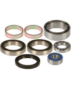 All Balls Lower Drive Shaft Track Bearing And Seal Kit 14-1014