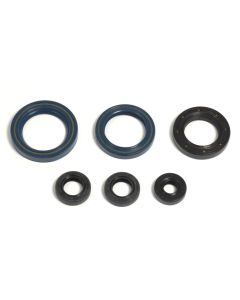 Athena Engine Oil Seal Kit P400270400014