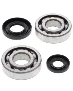 All Balls Racing Crank Shaft Bearing Kit 24-1029