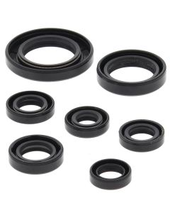 Vertex Oil Seal Kit 822311