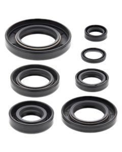 Vertex Oil Seal Kit 822164