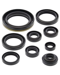 Vertex Oil Seal Kit 822324