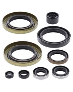 Vertex Oil Seal Kit 822301