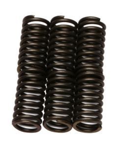 EBC CSK Series Heavy Duty Clutch Spring Kit for Kawasaki KDX200 1995-2006