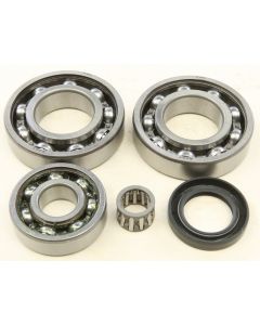 All Balls Rear Differential Bearing And Seal Kit 25-2018