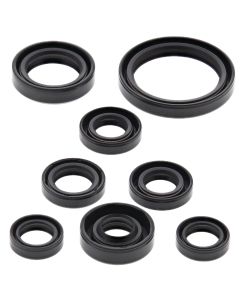 Vertex Oil Seal Kit 822167