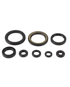 Vertex Oil Seal Kit 822378
