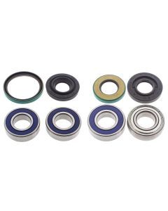 Lower Drive Shaft & Upper Jack Shaft Bearing & Seal Kit TOURING SLE 503 F 1998