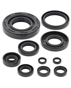 Vertex Oil Seal Kit 822304