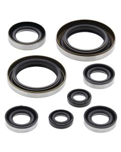 Vertex Oil Seal Kit 822274