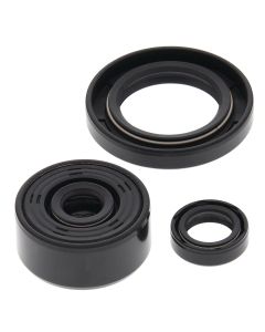 Vertex Oil Seal Kit 822339