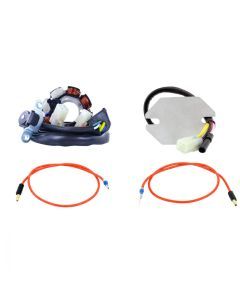 RMStator 40W AC to DC Lighting Stator Kit With Voltage Regulator RMS900-104238