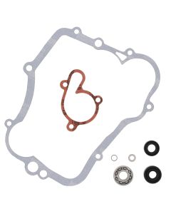 Vertex Water Pump Rebuild Kit 821614