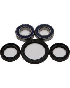 All Balls Front Wheel Bearing Kit 25-1080