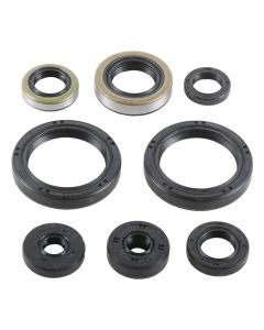 Vertex Oil Seal Kit 822977