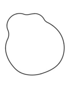Vertex Ignition Cover Gasket Kit 817940