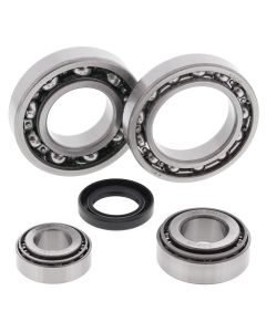 All Balls Racing Rear Differential Bearing And Seal Kit 25-2019