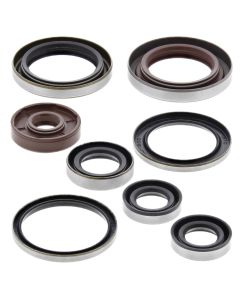 Vertex Oil Seal Kit 822320