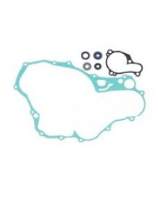 Psychic Water Pump Repair Kit MX-10263