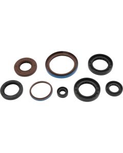 Vertex Oil Seal Kit 822381