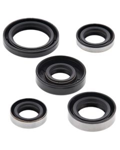 Vertex Oil Seal Kit 822216
