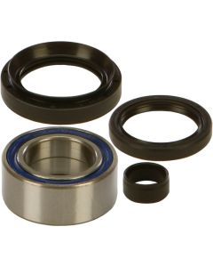 NEW ALL BALLS  - 25-1513 - Wheel Bearing and Seal Kit Honda·Rancher