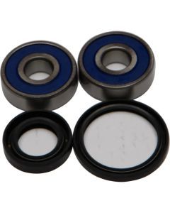 All Balls Front Wheel Bearing Kit 25-1307