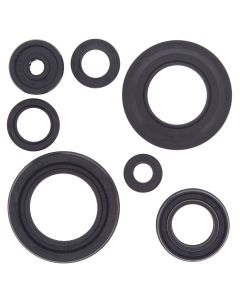 Vertex Oil Seal Kit 822154
