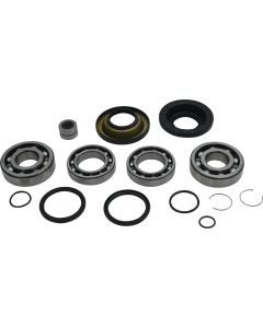 All Balls Racing Rear Differential Bearing And Seal Kit 25-2138