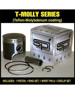 SPI 09-808N Oem Style Piston Kit With Rings