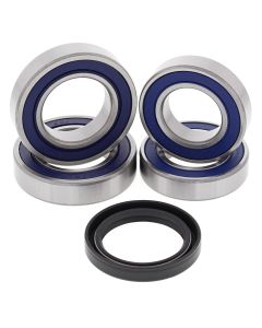 Pivot Works Rear Premium Wheel Bearing Kit 25-1707