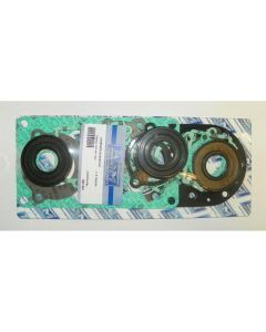 WSM Complete Gasket Kit For Tiger Shark 640 93-99 007-661