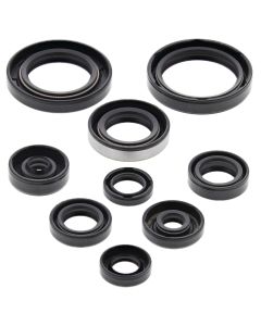 Vertex Oil Seal Kit 822223